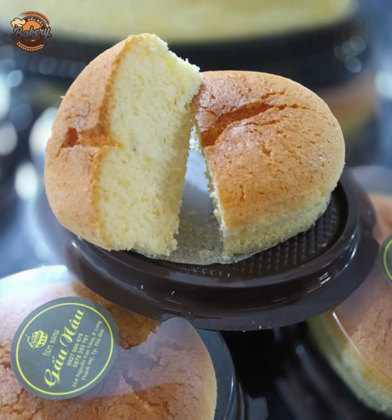 Bánh Bông Lan Phô Mai Cheese Cake