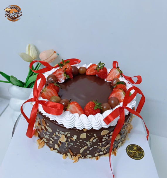 Bánh Kem Trái Cây & Socola